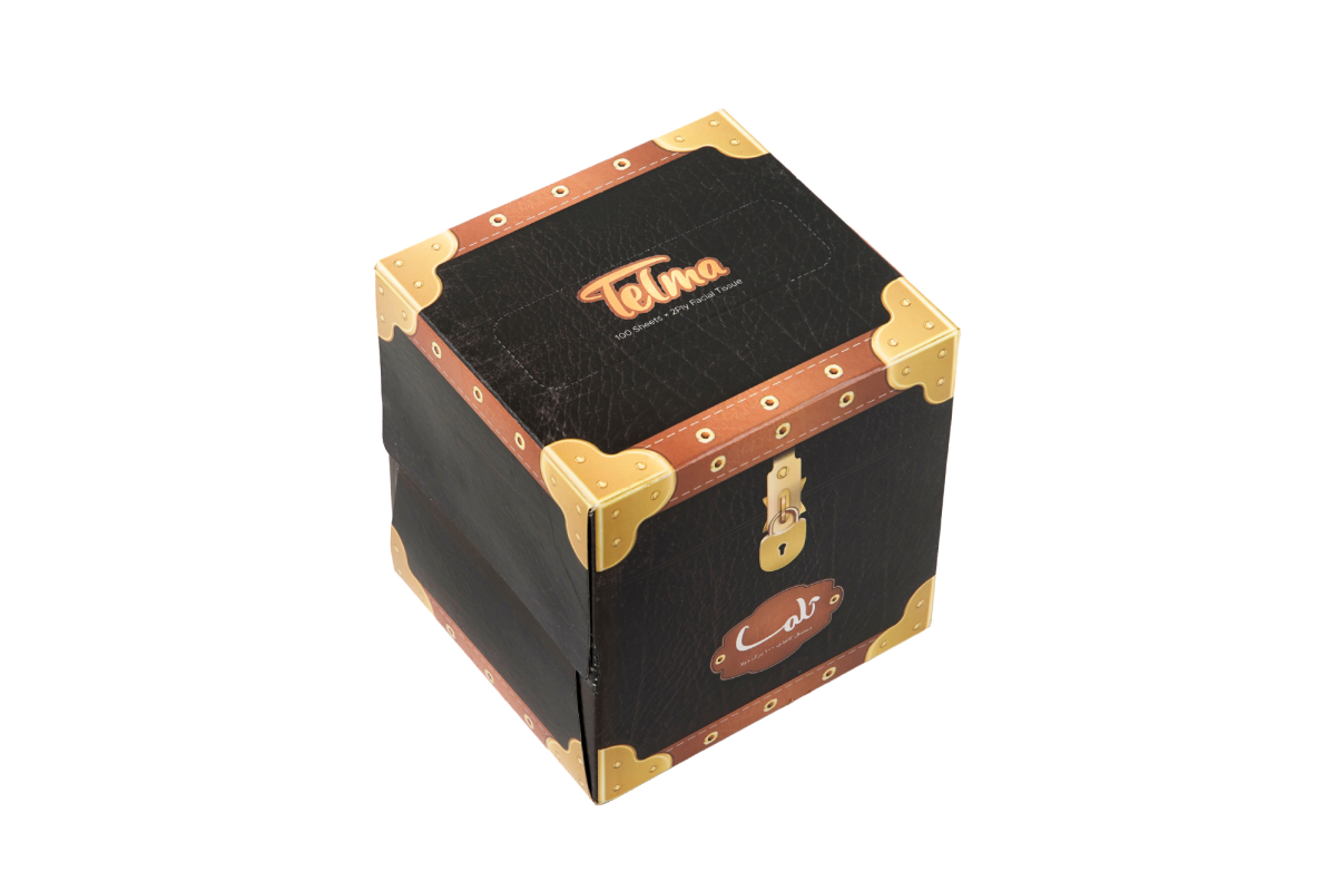 Cube Facial Tissue-200Sheets Sandoghche Design